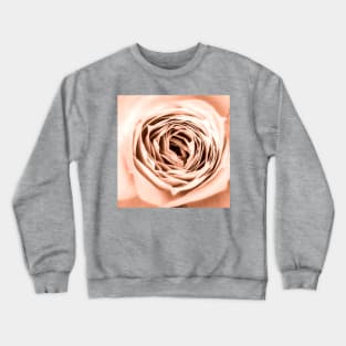 ROSE Crewneck Sweatshirt